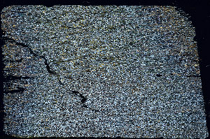 Cross Polarized, N3906