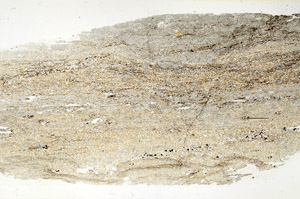 Plane Polarized, N3908