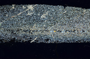 Cross Polarized, N3909