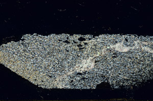 Cross Polarized, N3910