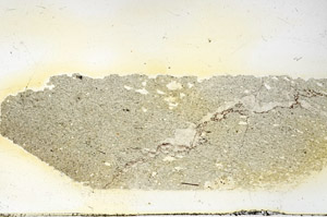 Plane Polarized, N3910