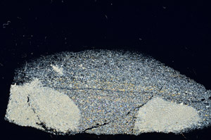 Cross Polarized, N3911