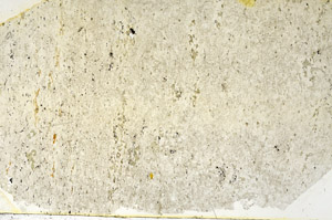 Plane Polarized, N3912