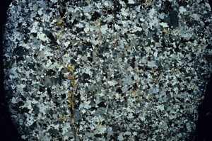 Cross Polarized, N3915