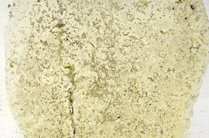 Plane Polarized, N3915