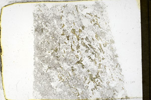 Plane Polarized, N3921