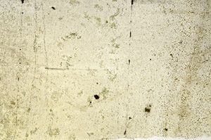 Plane Polarized, N3922