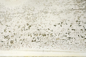 Plane Polarized, N3926