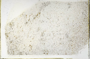 Plane Polarized, N3929