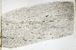 Plane Polarized, N3930