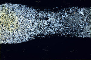 Cross Polarized, N3931