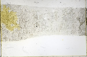 Plane Polarized, N3931