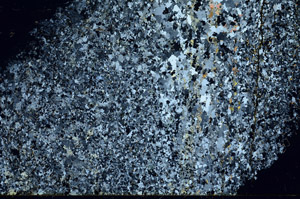 Cross Polarized, N3932