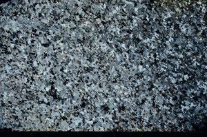 Cross Polarized, N3933