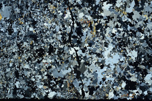 Cross Polarized, N3936