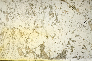 Plane Polarized, N3936