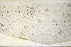 Plane Polarized, N3937