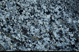 Cross Polarized, N3939