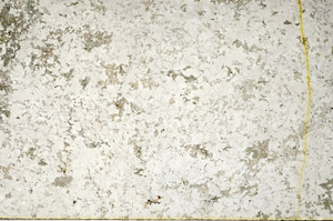 Plane Polarized, N3940