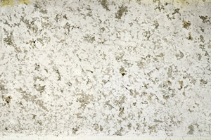 Plane Polarized, N3941