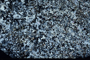 Cross Polarized, N3942