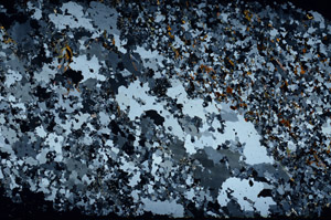 Cross Polarized, N3943