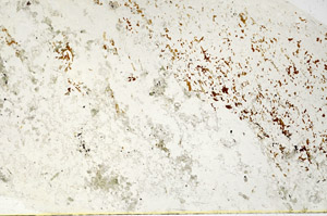 Plane Polarized, N3943