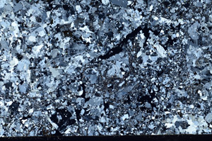 Cross Polarized, N4163