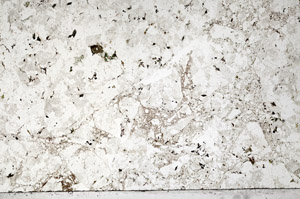 Plane Polarized, N4163