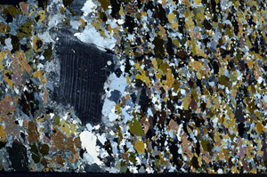 Cross Polarized, N4167