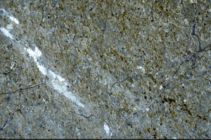 Cross Polarized, N4168