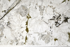 Plane Polarized, N4172