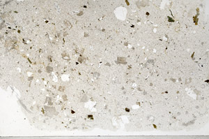 Plane Polarized, N4180