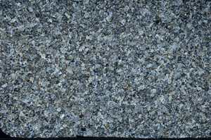 Cross Polarized, N4181