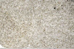 Plane Polarized, N4181