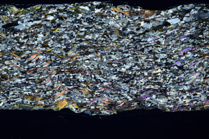 Cross Polarized, N4193
