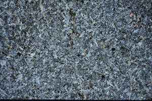 Cross Polarized, N4202