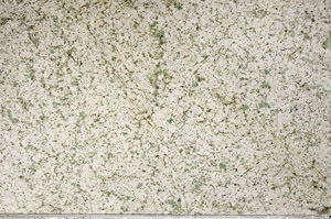 Plane Polarized, N4202