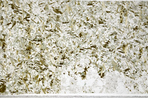 Plane Polarized, N4205