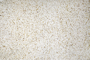 Plane Polarized, N4206