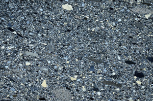 Cross Polarized, N4238