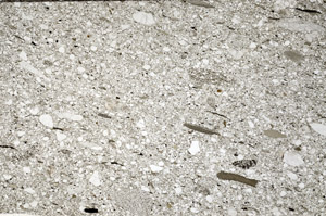 Plane Polarized, N4238