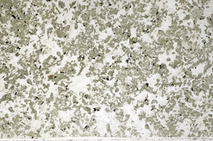 Plane Polarized, N4239