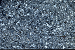 Cross Polarized, N4244