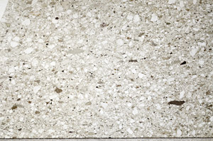 Plane Polarized, N4244