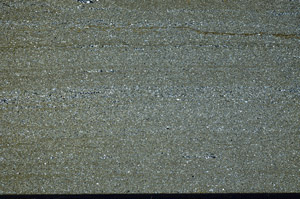 Cross Polarized, N4257
