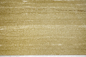 Plane Polarized, N4257