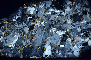 Cross Polarized, N4269