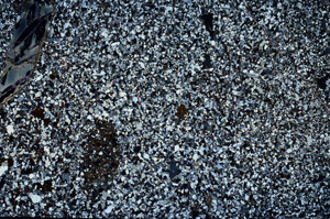 Cross Polarized, N4286