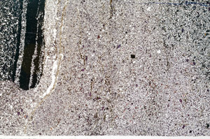 Plane Polarized, N4289